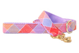 Fruit Punch Flannel Dog Leash