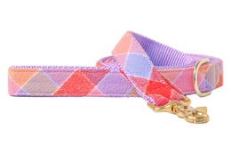 Fruit Punch Flannel Dog Leash