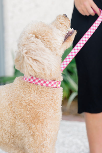 Close-up side view of a dog in a fuchsia picnic plaid collar, looking up toward a person holding its matching leash.