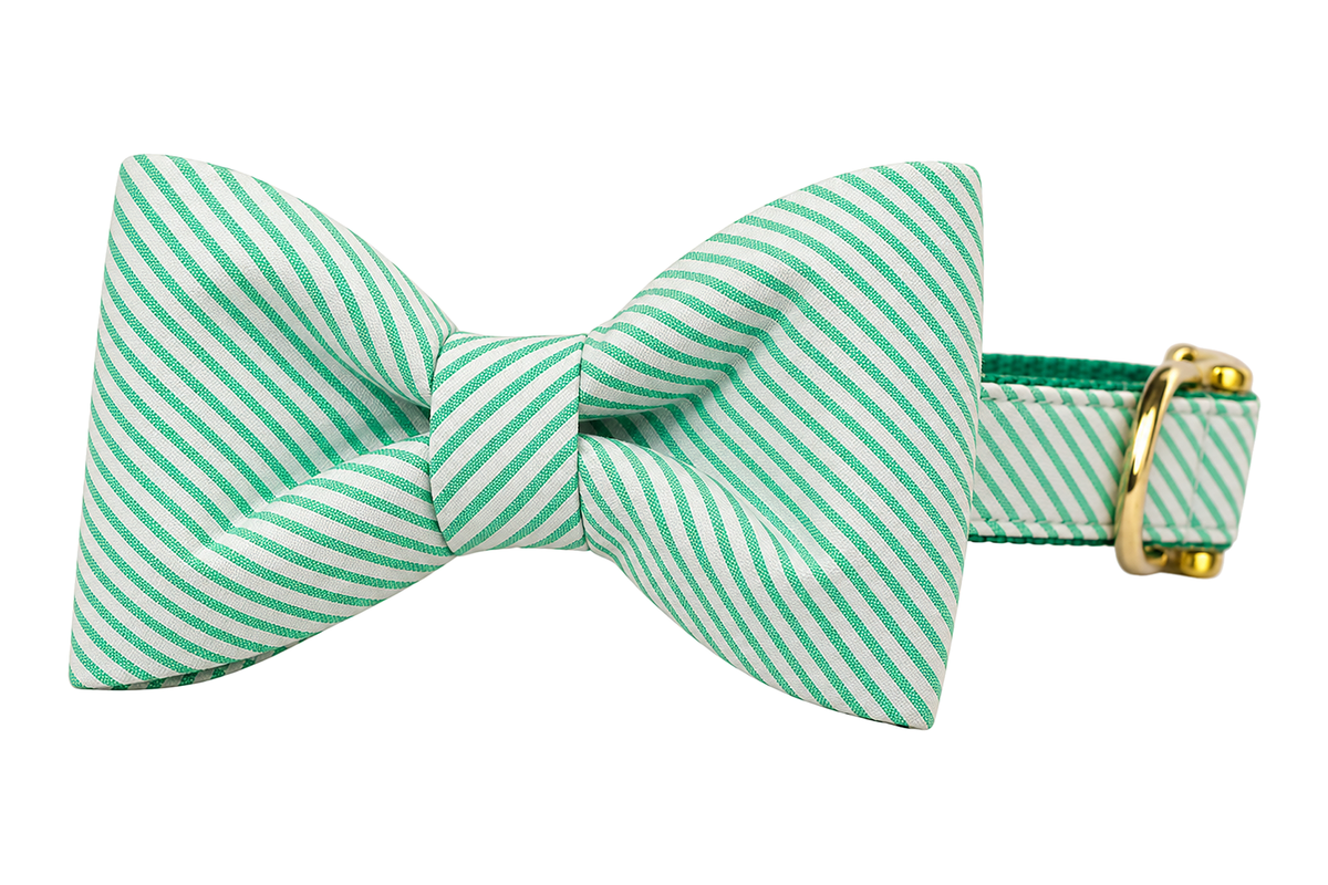 Classic dog collar featuring a Full Court Green Seersucker fabric bow tie, a kelly green and white seersucker stripe, attached to a matching Full Court Green Seersucker collar with a nylon inner lining and gleaming gold hardware, including a D-ring and buckle.