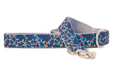 Fully Lit Dog Leash