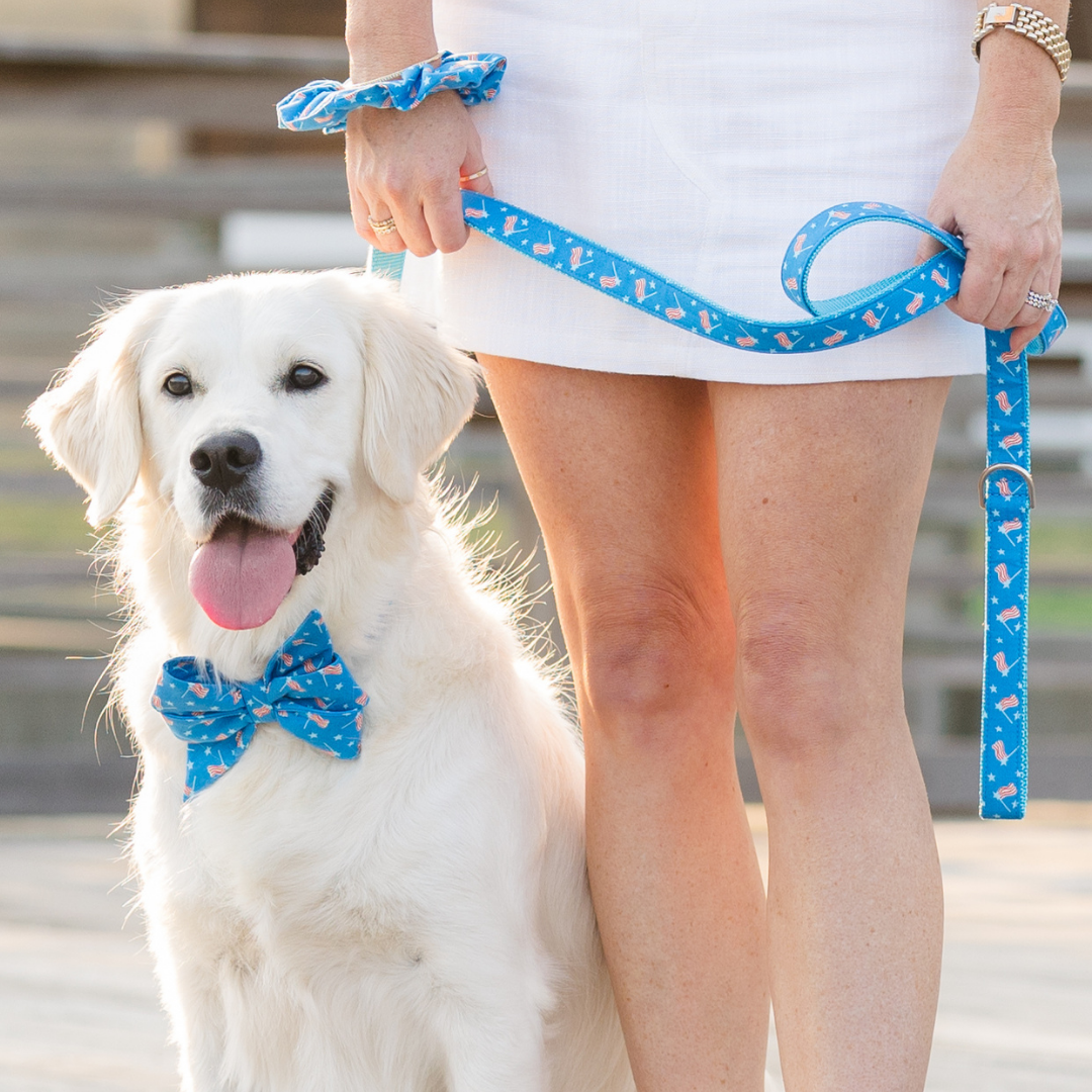 Smiling golden retriever wearing a patriotic bow tie dog collar, seated next to a person in a white dress holding a matching leash. The blue accessories feature tiny American flags and stars, with the person also wearing a matching scrunchie.