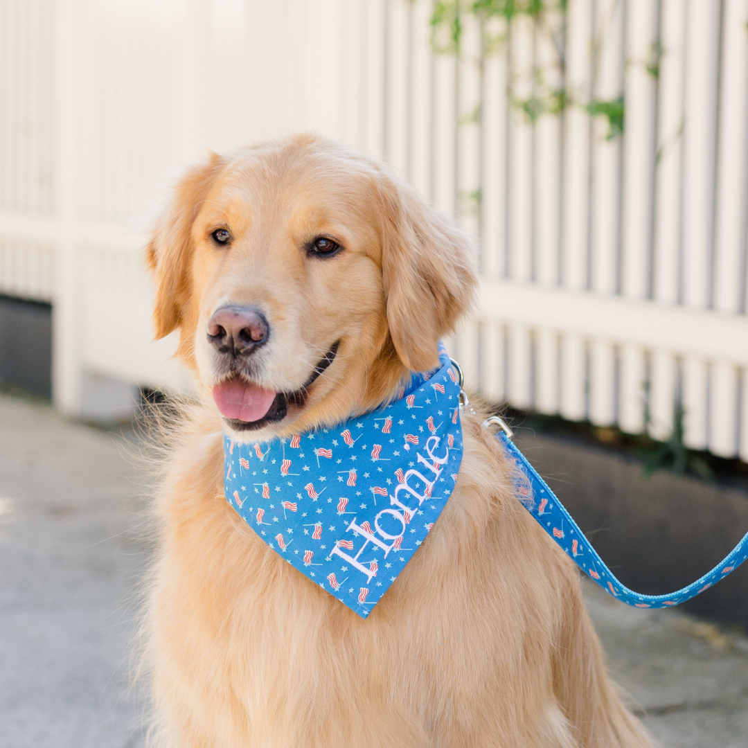 Smiling golden retriever wearing a custom blue bandana with scattered U.S. flags and stars, embroidered with the name “Homie” in white. The bandana and leash coordinate for a spirited Fourth of July look.