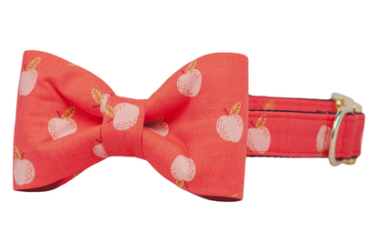 Classic bow tie dog collar with playful apple illustrations and shiny metal details. Handmade in Charleston, SC.