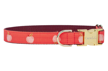 Vibrant dog collar with scattered apples and a luxe buckle and D-ring, built on a durable webbing base. Handmade in Charleston, SC.