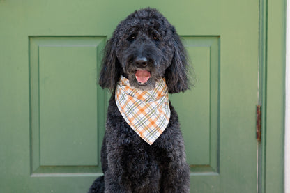 A cheerful dog with a curly coat poses wearing a bandana in a fall plaid design. The muted fall colors create a cozy, seasonal look.