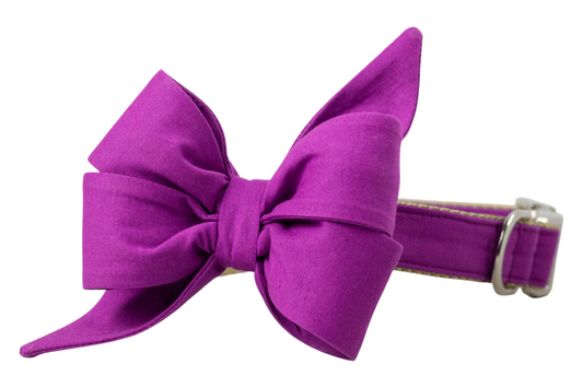 Bold deep purple dog collar with an oversized matching fabric belle bow, 
 with tan webbing on the underside and a silver buckle.