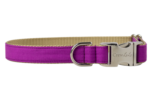 Adjustable dog collar with a deep purple outer layer and tan webbing interior. It includes a polished silver buckle, a sturdy D-ring, and reinforced stitching for durability.
