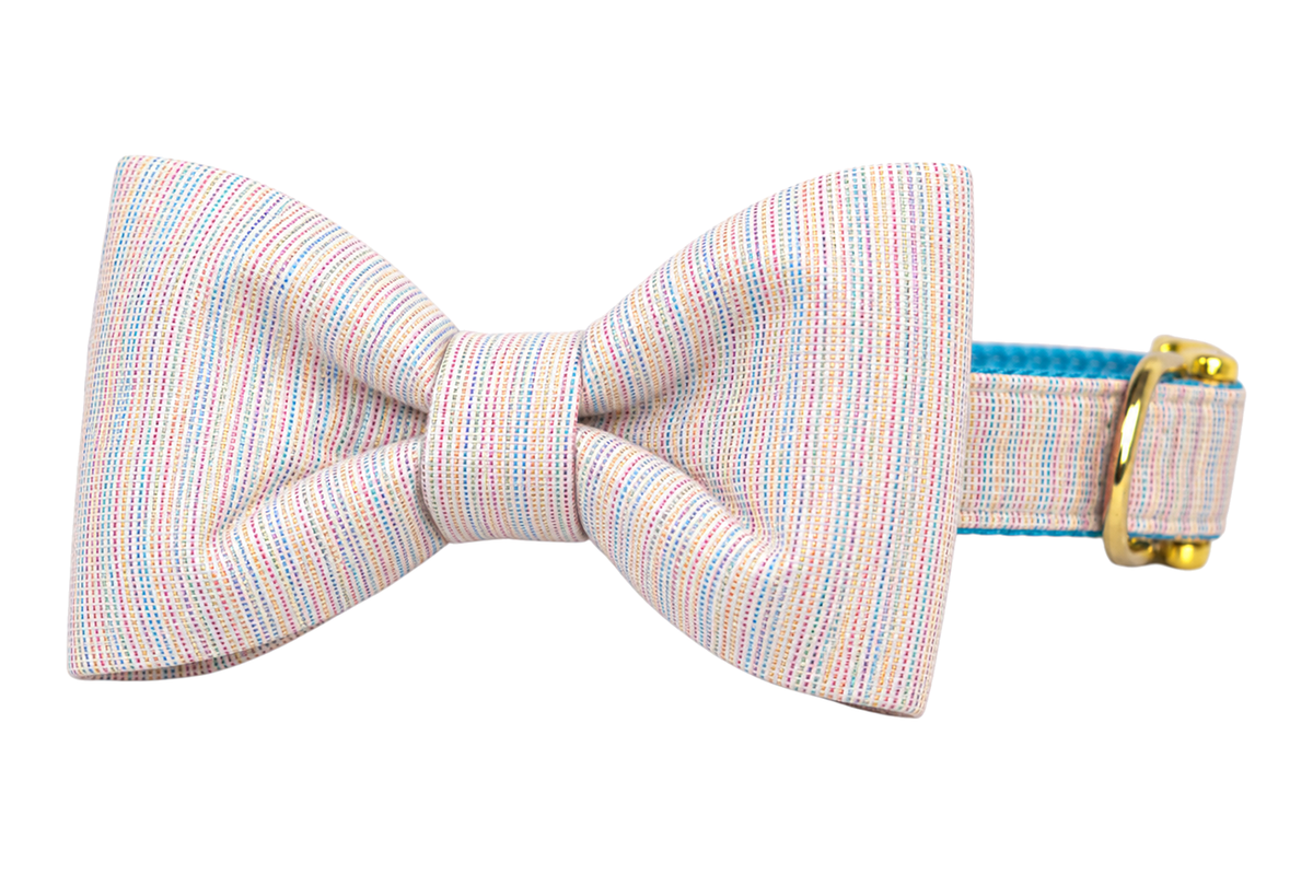 Classic dog collar featuring a Gotcha Glitter fabric bow tie, a pale cream and blush fabric woven with fine pastel rainbow pinstripes and a subtle shimmer, attached to a matching Gotcha Glitter collar with a nylon inner lining and gleaming gold hardware, including a D-ring and buckle.