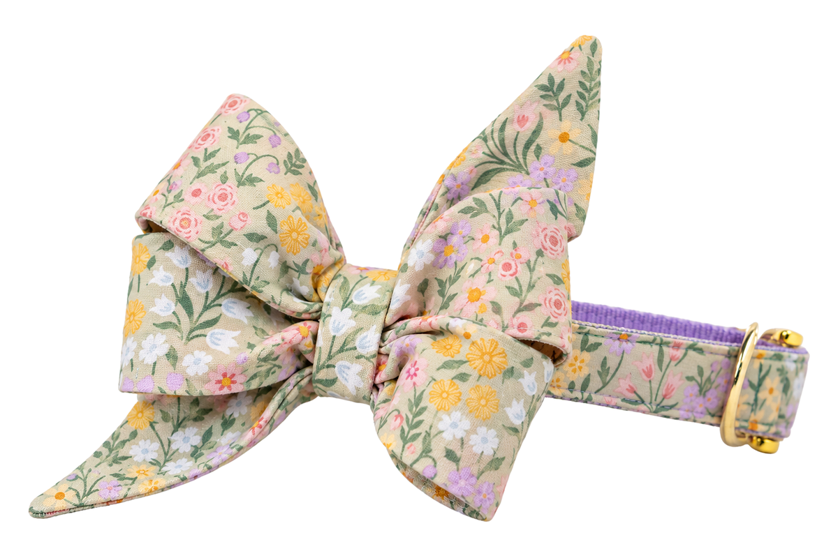 Dog collar featuring a large belle bow in Green Meadow fabric, a soft tan blush print with yellow, white and lavender wildflowers and sage green leaves, attached to a matching Green Meadow collar with a nylon inner lining and gleaming gold hardware, including a D-ring and buckle.