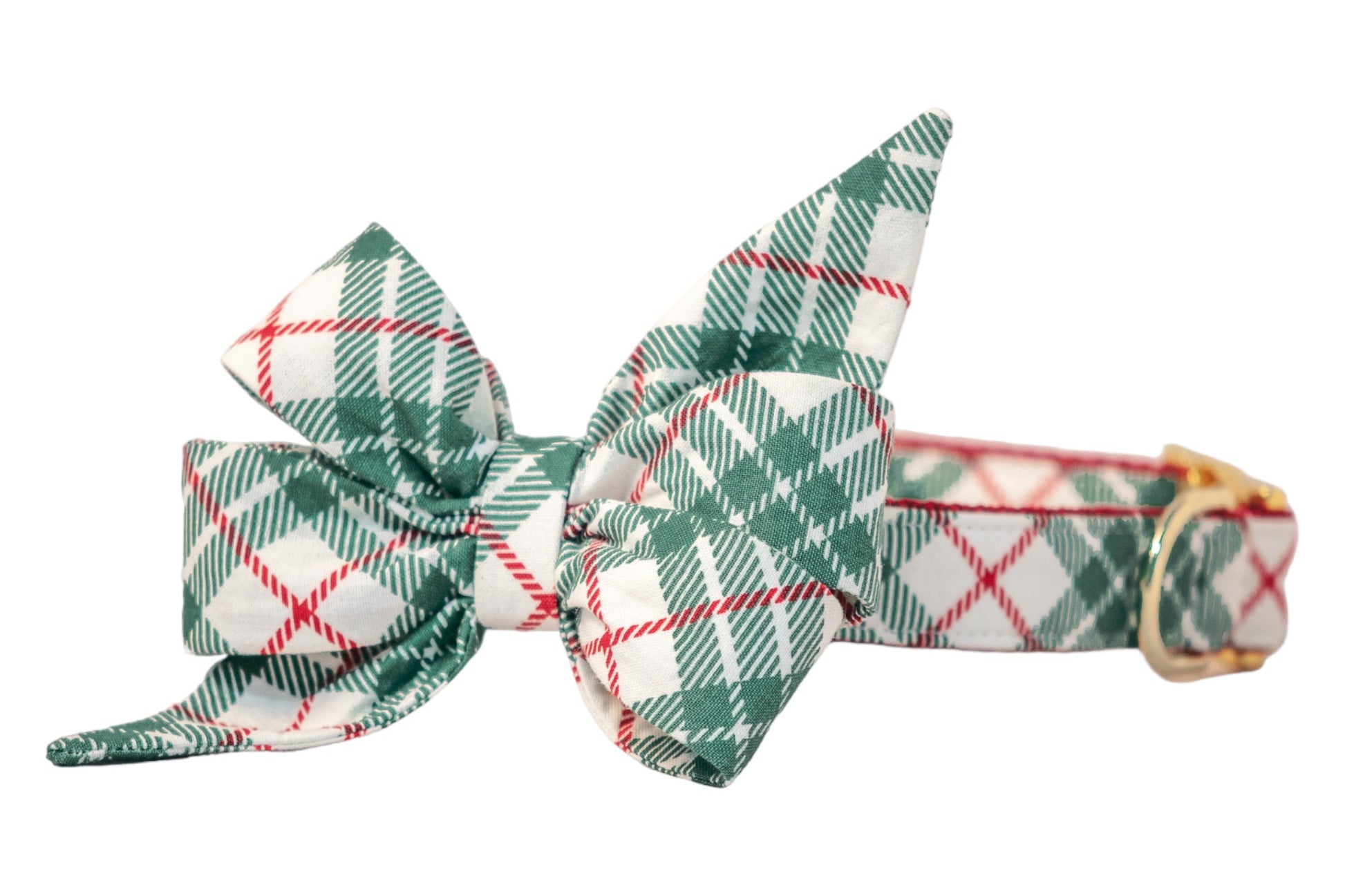 A festive dog collar with an attached oversized matching belle bow in green plaid on a light fabric background. The belle bow features structured loops and pointed tails, and the collar includes a  metal buckle and D-ring, combining playful holiday charm with elegant details.