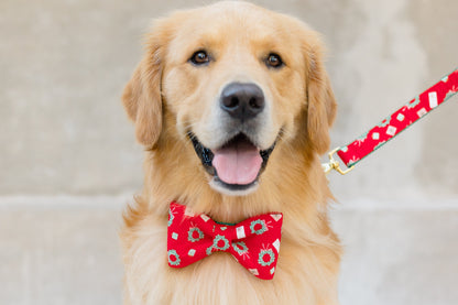 Smiling retriever wearing a red holiday bow tie featuring wreaths and presents, paired with a matching red leash clipped to its collar. The dog’s cheerful expression and soft coat contrast with the muted stone backdrop.