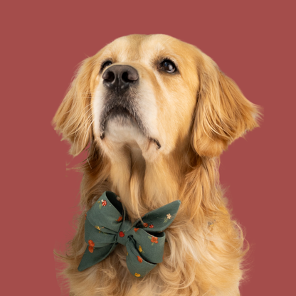 Close-up of a retriever wearing a wide green bow tie collar adorned with a delicate print of tiny fall flowers, mushrooms, and pumpkins. 