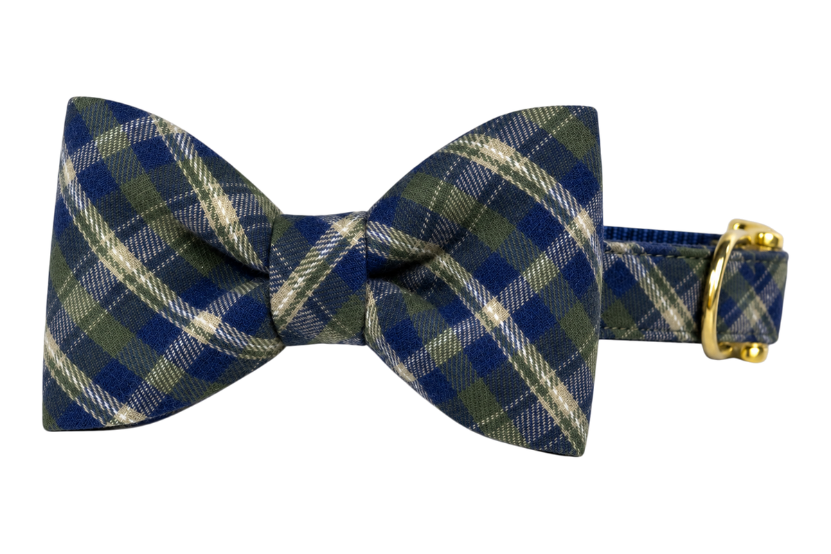Classic dog collar featuring a Highlands Plaid fabric bow tie, a navy and olive green tartan with thin cream lines, attached to a matching Highlands Plaid collar with a nylon inner lining and gleaming gold hardware, including a D-ring and buckle.