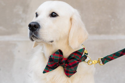 Dressed to impress! A light retriever wears a stylish classic tartan bow tie collar with polished hardware and a matching leash. The oversized bow and classic plaid pattern give off cozy holiday vibes, making this pup picture-perfect for the season.