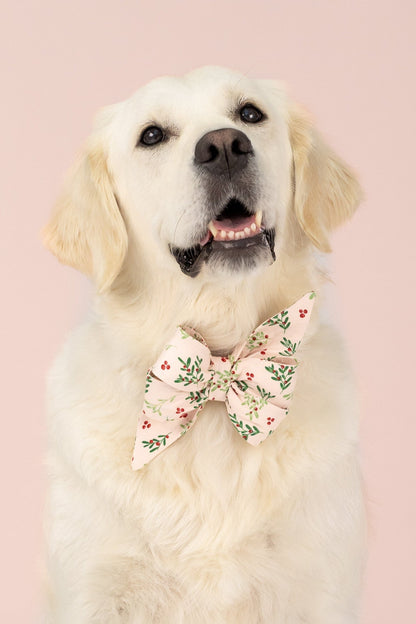 Smiling retriever dog dressed in a holiday mistletoe belle bow dog collar sitting in front of a light pink studio backdrop.