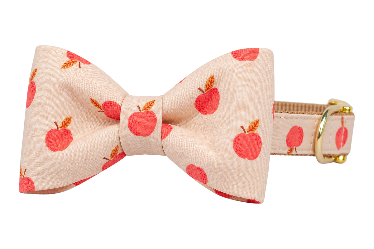 Classic dog collar featuring a Honeycrisp fabric bow tie, a soft peach-beige fabric with scattered red apples, attached to a matching Honeycrisp collar with a nylon inner lining and gleaming gold hardware, including a D-ring and buckle.