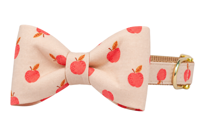 Classic dog collar featuring a Honeycrisp fabric bow tie, a soft peach-beige fabric with scattered red apples, attached to a matching Honeycrisp collar with a nylon inner lining and gleaming gold hardware, including a D-ring and buckle.