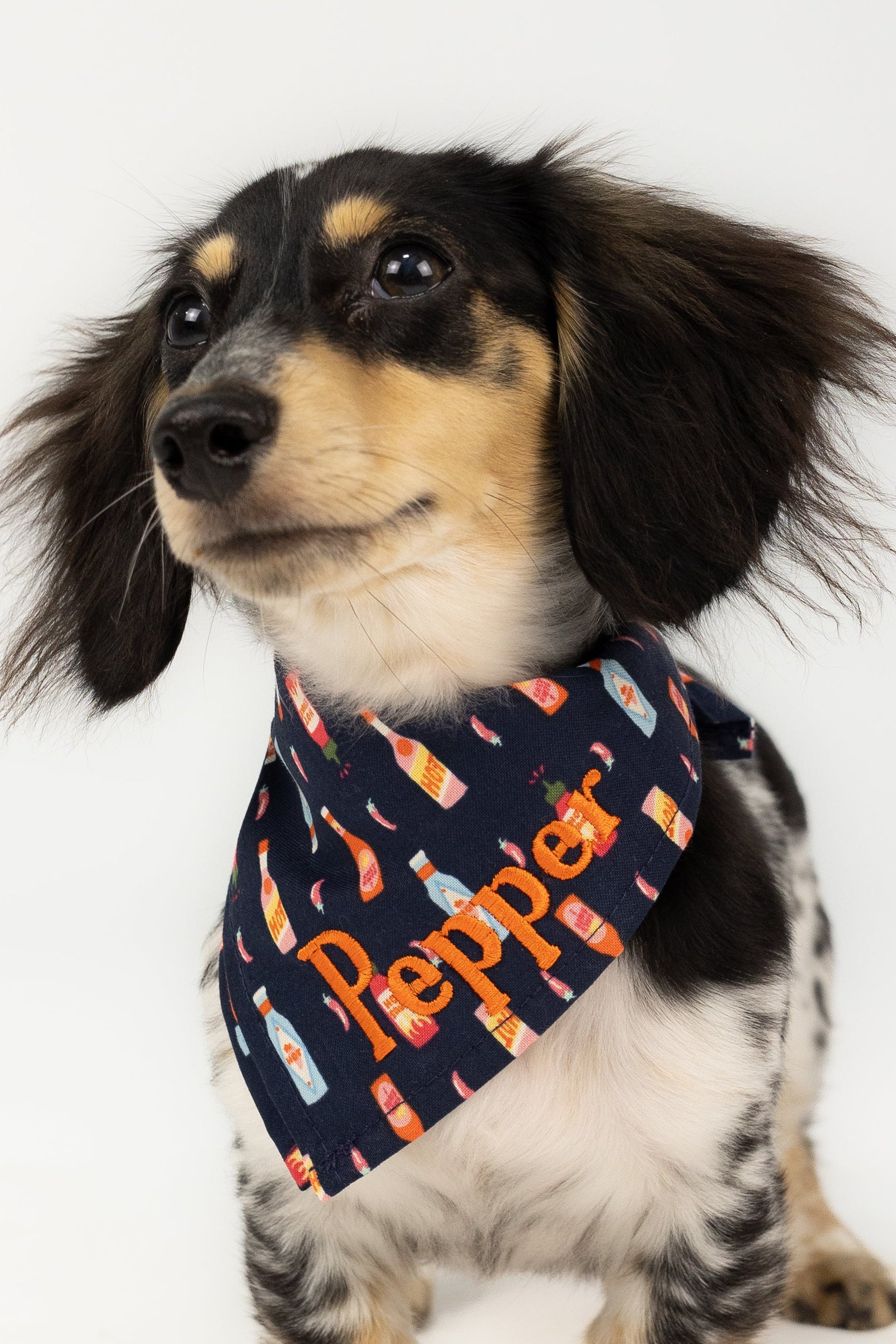 Navy blue dog bandana with a playful all-over hot sauce bottle print and bright embroidered name “Pepper”—a spicy accessory for pups with big personality.