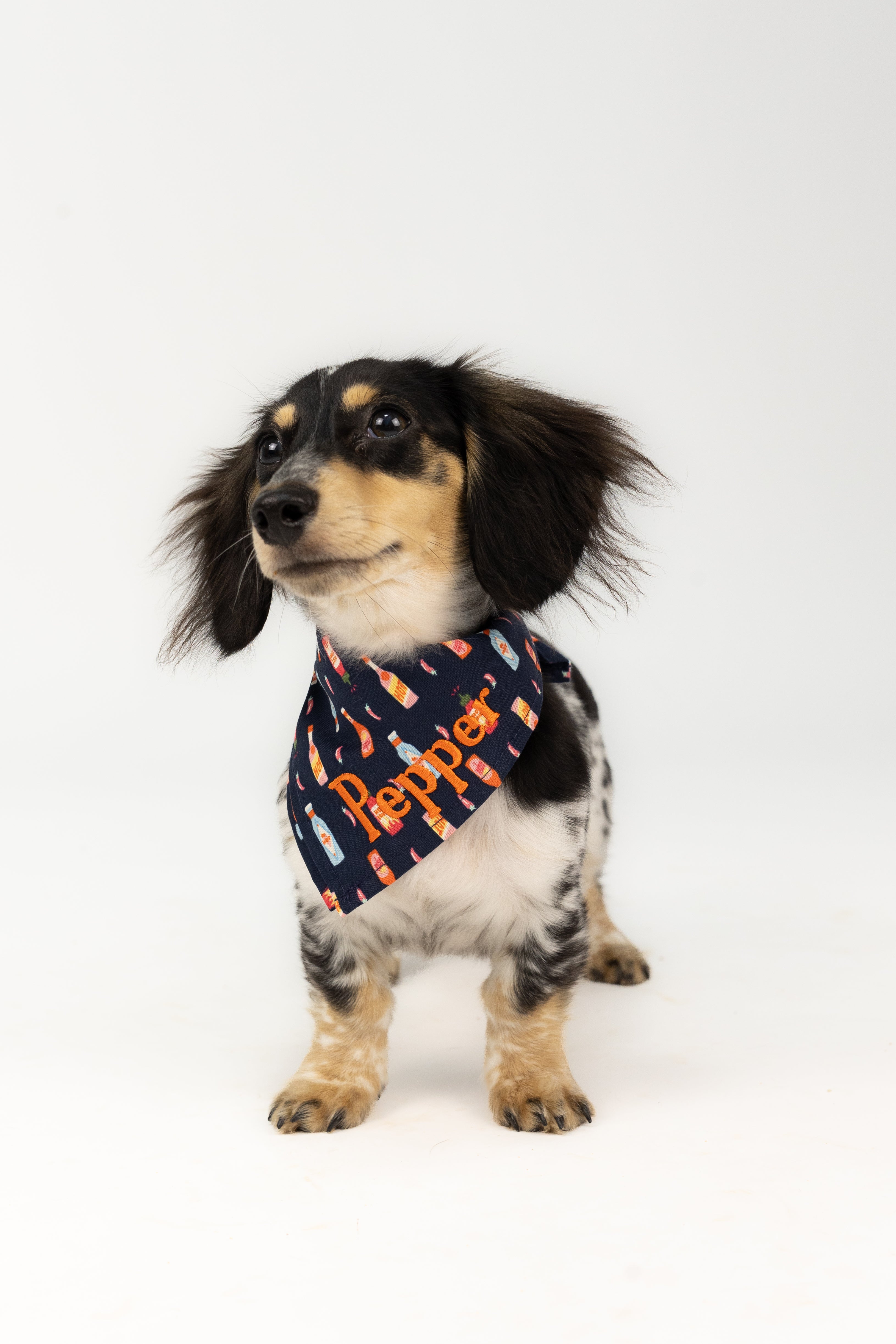 Navy blue dog bandana with a playful all-over hot sauce bottle print and bright embroidered name “Pepper”—a spicy accessory for pups with big personality.