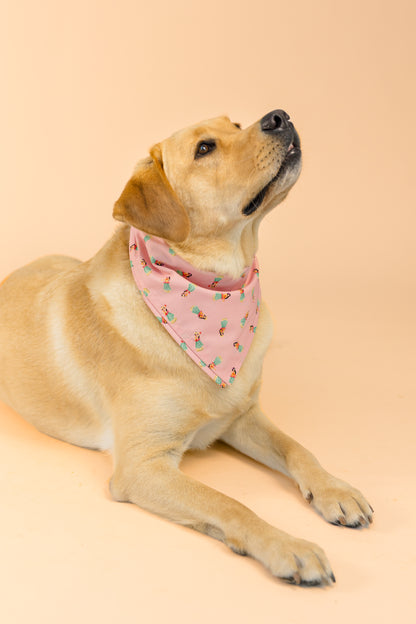 A golden labrador wearing a light pink bandana decorated with tiny hula girls and tropical motifs, looking upward with a calm expression.