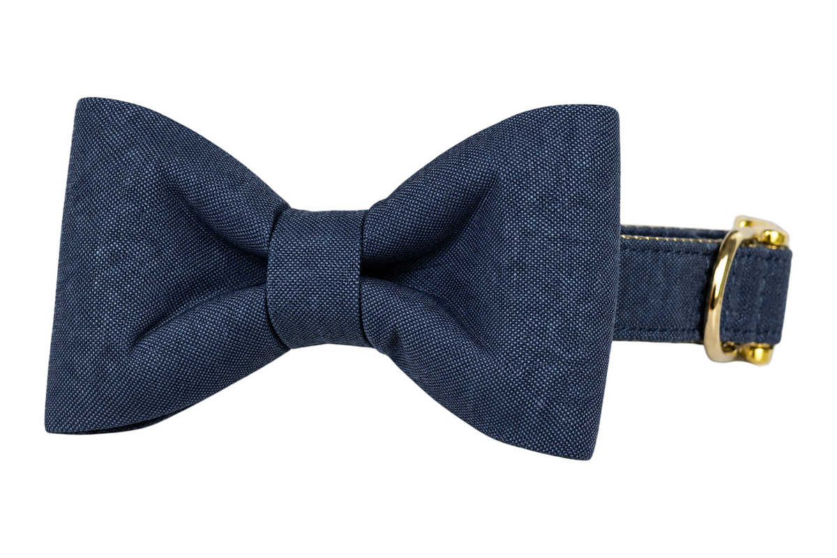 Classic dog collar featuring a Indigo Blue Linen fabric bow tie, a solid deep indigo linen chambray, attached to a matching Indigo Blue Linen collar with a nylon inner lining and gleaming gold hardware, including a D-ring and buckle.