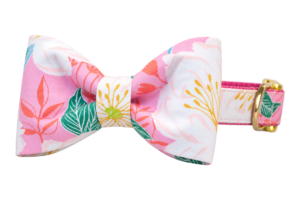 Classic dog collar featuring a Island Vibes fabric bow tie, a soft pink print with large lavender and white tropical blooms, green leaves and golden accents, attached to a matching Island Vibes collar with a nylon inner lining and gleaming gold hardware, including a D-ring and buckle.