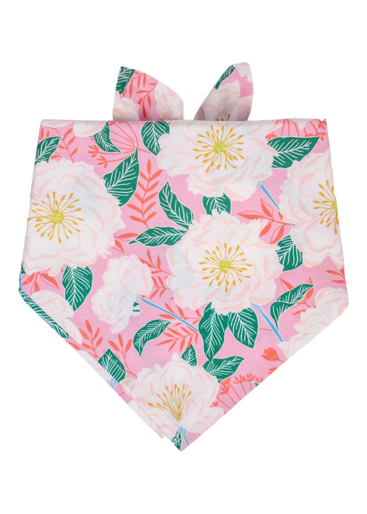 A stylish pink fabric dog bandana with lush white flowers that have hints of blush and yellow detailing, paired with leafy green and warm coral foliage, creating a cheerful and summery tropical floral design.