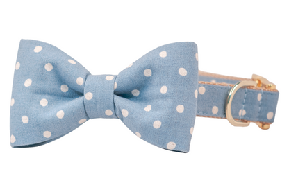 Light blue dog collar with an attached matching bow tie, both decorated with ivory white polka dots, and finished with gold hardware including a D-ring and adjustable buckle.