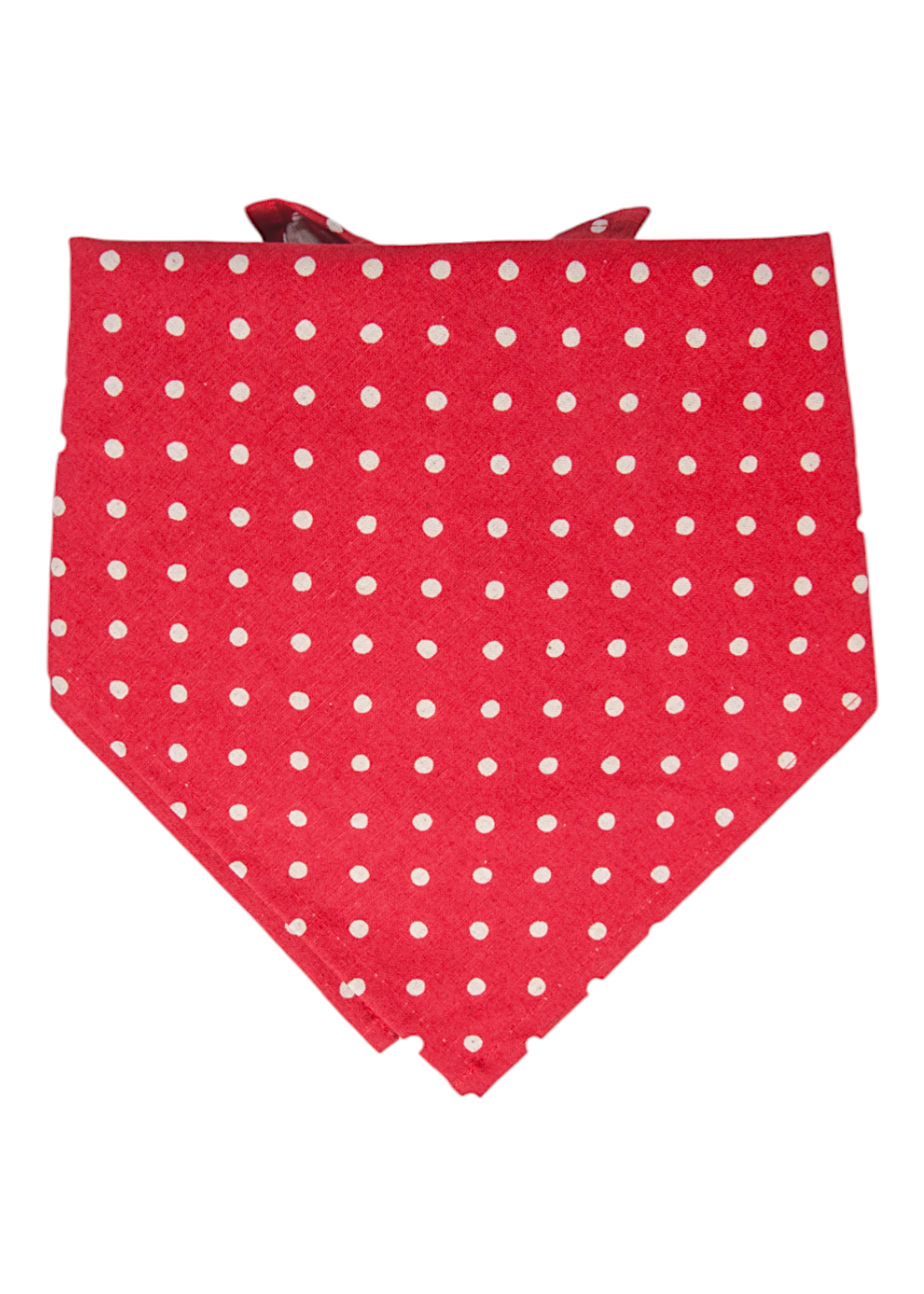 Charming pet bandana in red, sprinkled with ivory white dots and styled in a classic triangle fold with visible tie ends peeking from the top.