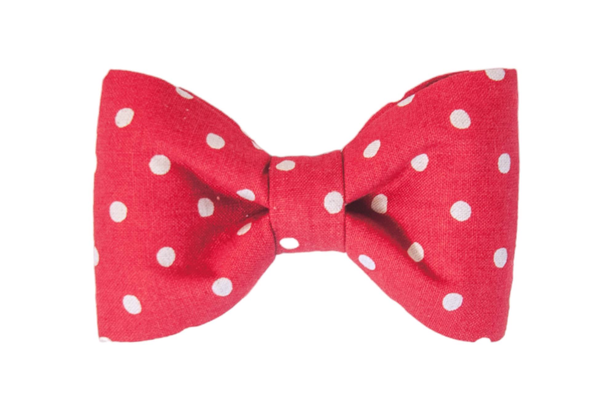 Charming red bow tie with evenly spaced ivory white polka dots, crafted in a symmetrical, puffed design with a snug central band.