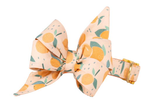 Peach-hued dog collar and matching dramatic belle bow set, printed with scattered peach fruits, leaves, and decorative green dots, complemented by gold-tone buckle and D-ring.