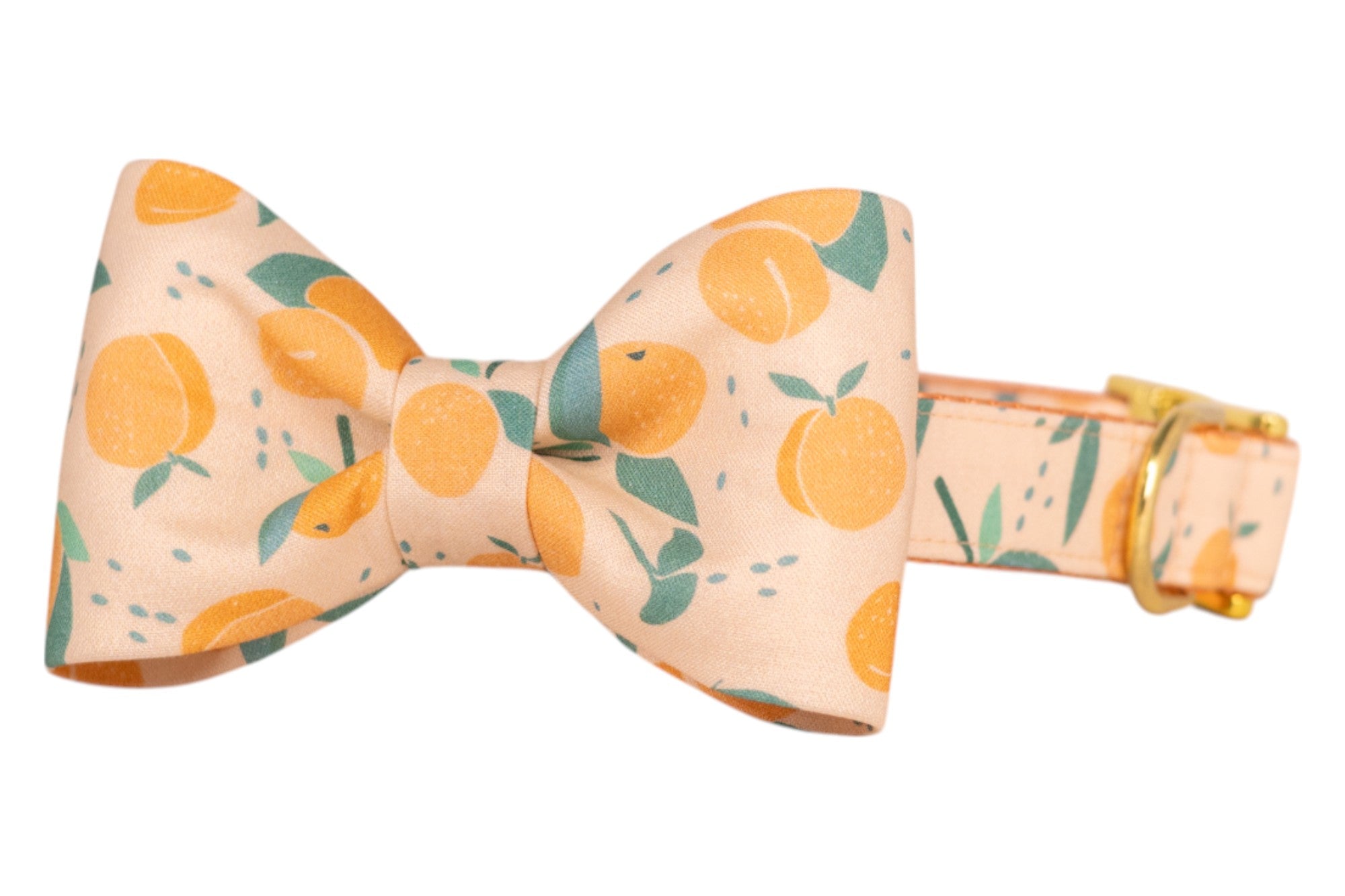 A dog collar with an attached bow tie, made of peach-colored fabric printed with bright peach fruits, green leaves, and scattered seed-like dots, finished with gold hardware.