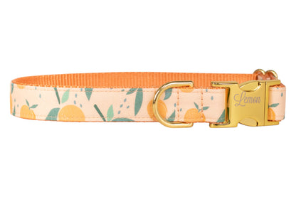 Stylish dog collar in pastel tones with a peach-themed design, gold hardware including a D-ring and clasp.