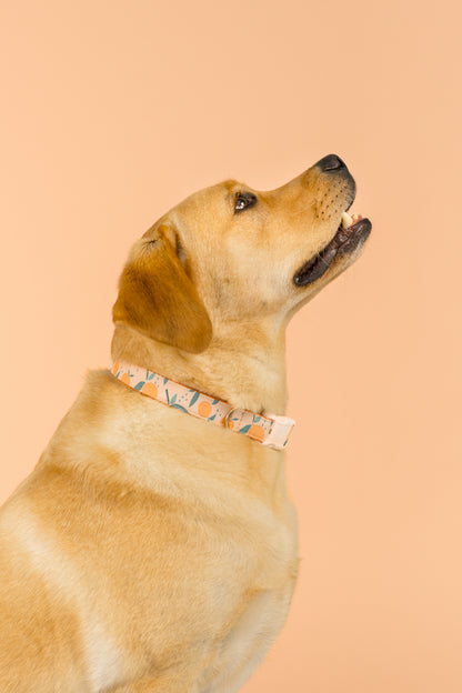 Close-up side profile of a golden Labrador retriever looking upward with its mouth slightly open. The dog wears a peach-colored collar decorated with a peach fruit pattern and green leaves, blending harmoniously with the soft peach background.