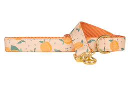 Just Peachy Dog Leash