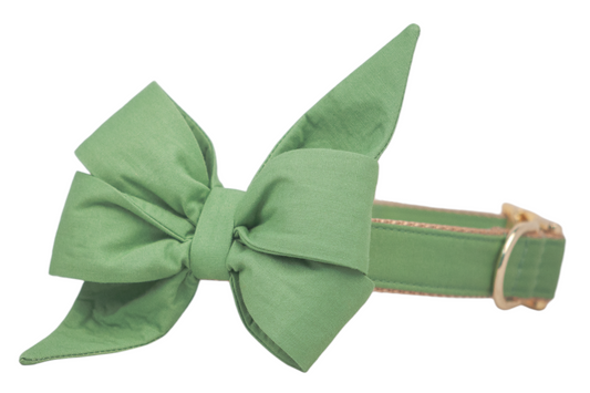 A laurel green dog collar featuring a large fabric belle bow with pointed tails, attached at the front to a matching collar that has a gold buckle and matching hardware, offering a blend of elegance and function.