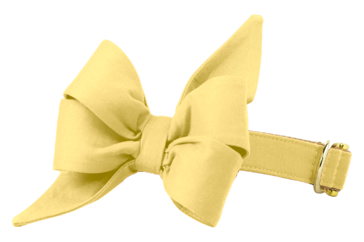Eye-catching feminine dog collar adorned with an oversized lemon yellow belle bow in a multi-looped, flared silhouette, paired with a matching lemon yellow band and luxe gold buckle and D-ring.