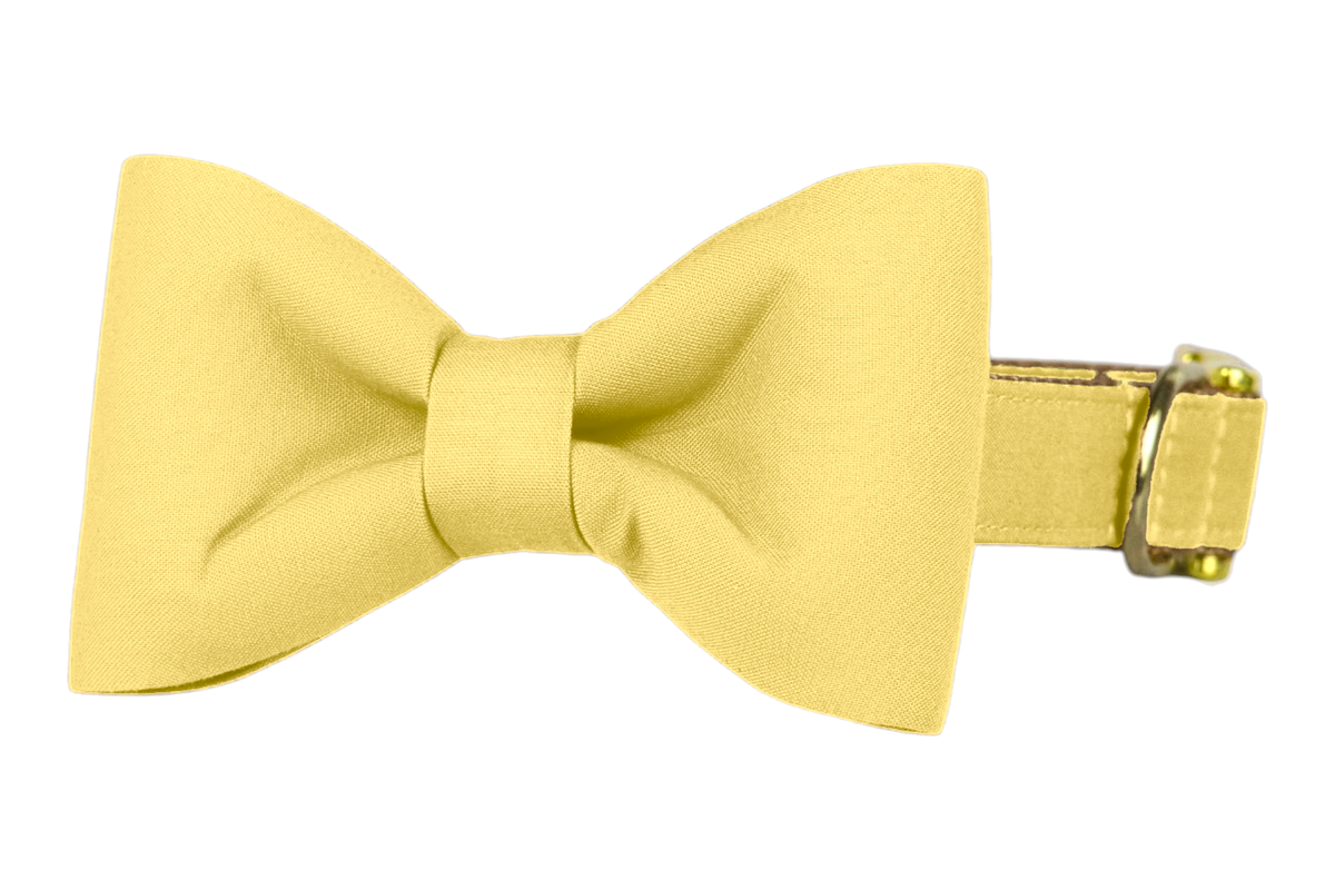 Classic dog collar featuring a solid lemon yellow fabric bow tie, attached to a matching lemon yellow collar with a nylon inner lining and gleaming gold hardware, including a D-ring and buckle.