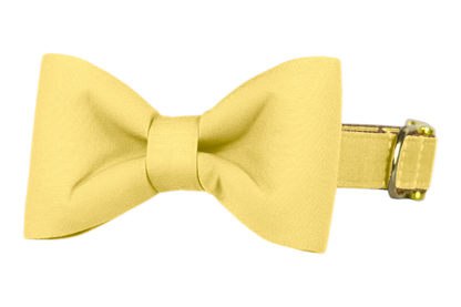 Classic dog collar featuring a solid lemon yellow fabric bow tie, attached to a matching lemon yellow collar with a nylon inner lining and gleaming gold hardware, including a D-ring and buckle.