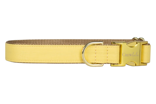 Elegant handmade dog collar in soft yellow fabric that's perfect for Spring, reinforced with beige webbing and accented by polished gold hardware.