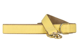 Lemon Yellow Dog Leash