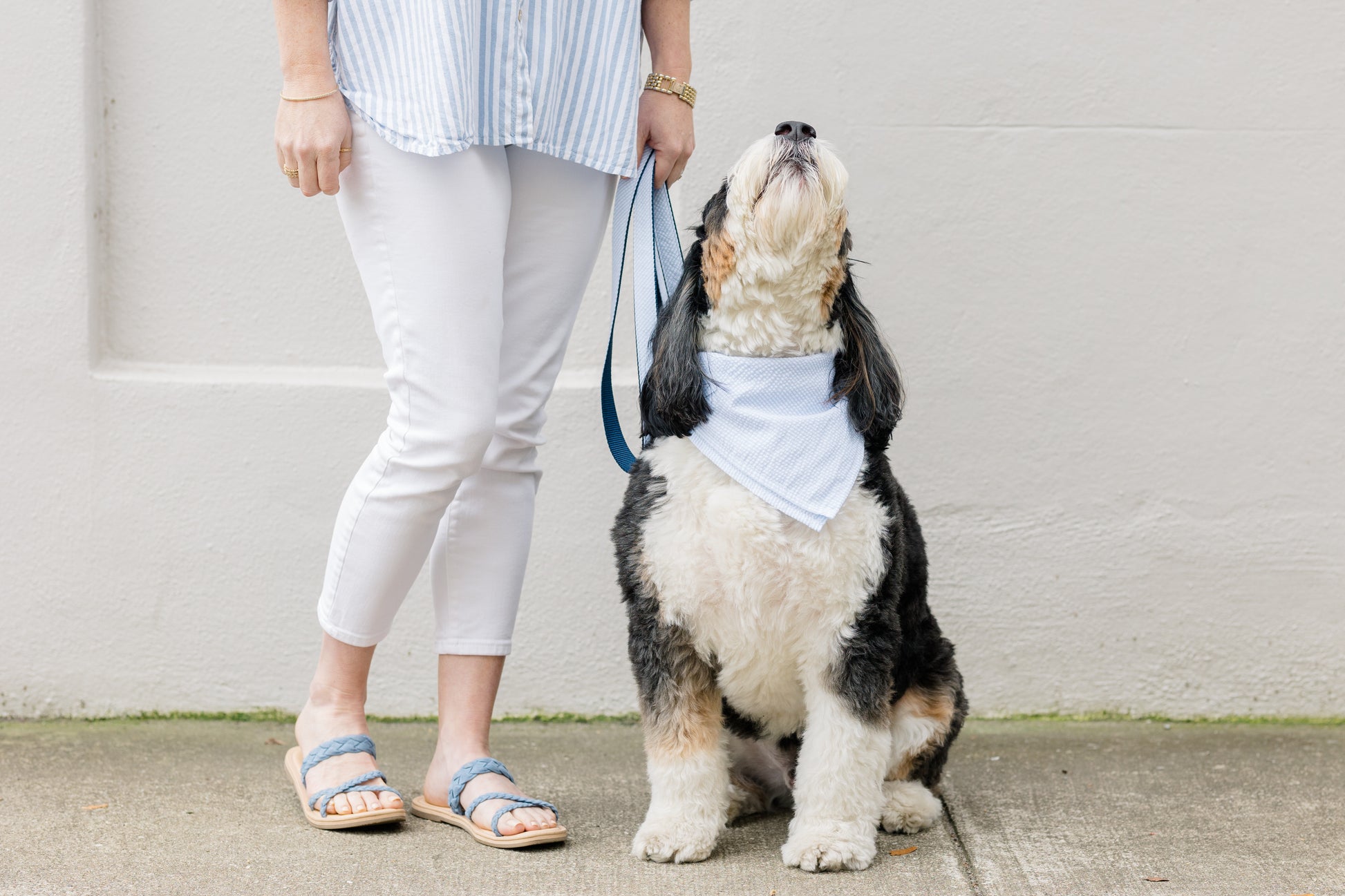 A large, fluffy black and white dog wearing a light blue and white striped seersucker bandana sits beside a person holding a matching leash. The dog's head is tilted upward, and the person is dressed in a blue and white striped shirt, white pants, and blue braided sandals, coordinating with the dog’s outfit. They are standing on a sidewalk against a light-colored wall.