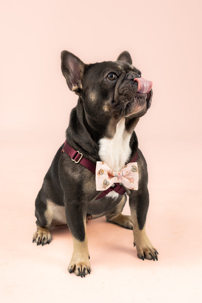 French Bulldog wearing a pale pink bow tie with a whimsical insect print featuring beetles, butterflies, and moths—an unexpected twist for fashion-forward pups who love to stand out.