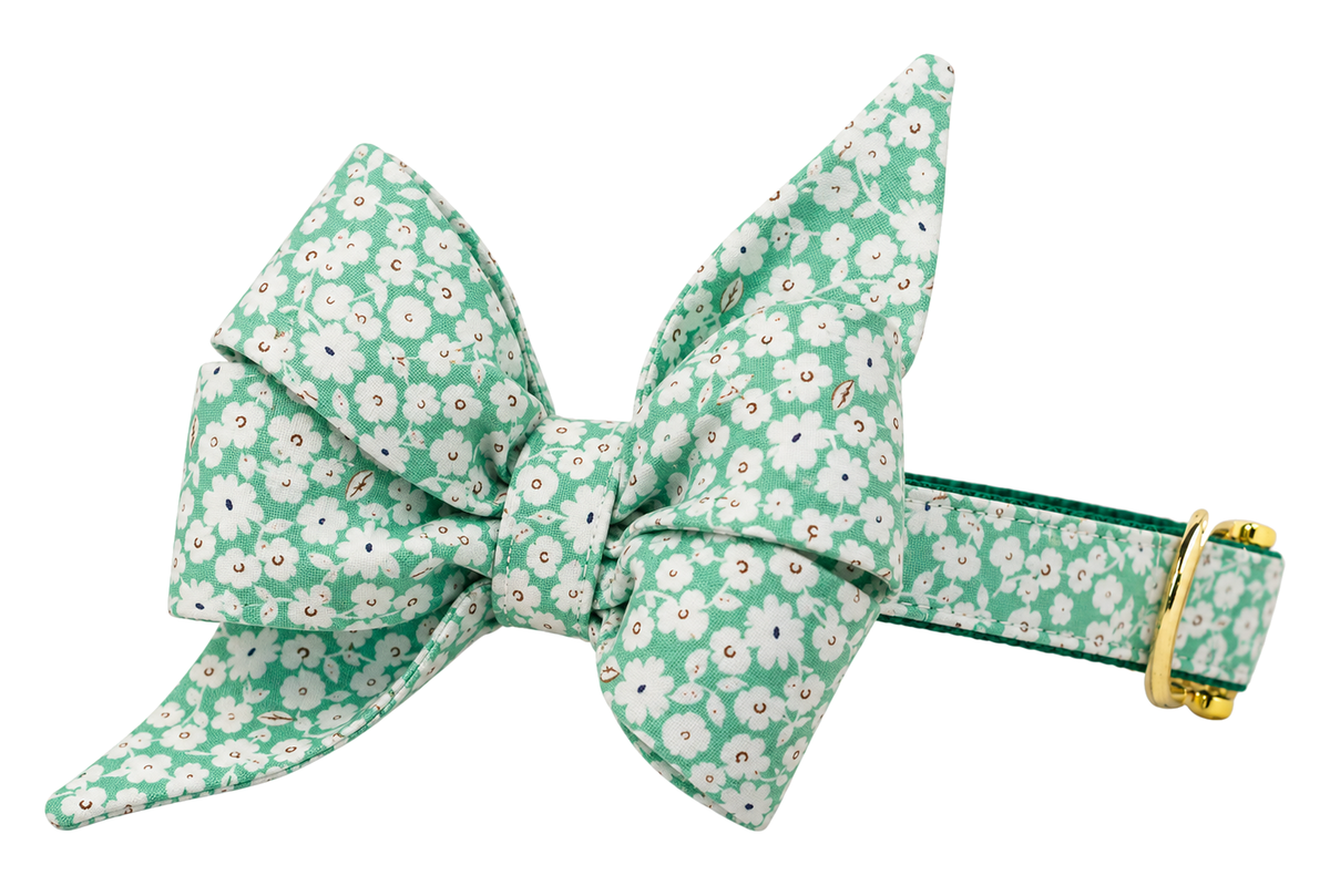 Dog collar featuring a large belle bow in Lucky Meadow fabric, a green fabric with a dense pattern of small white clover flowers, attached to a matching Lucky Meadow collar with a nylon inner lining and gleaming gold hardware, including a D-ring and buckle.