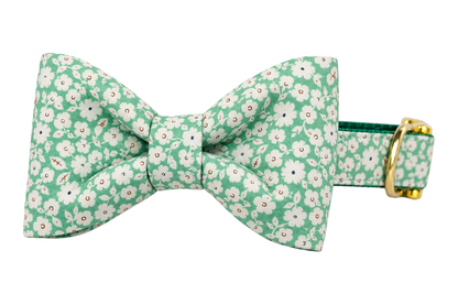 Classic dog collar featuring a Lucky Meadow fabric bow tie, a mint green fabric with small cream daisies, attached to a matching Lucky Meadow collar with a nylon inner lining and gleaming gold hardware, including a D-ring and buckle.