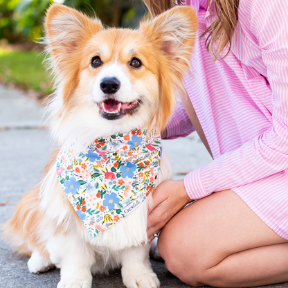 A happy dog with fluffy fur wears a bright floral bandana while sitting on a sidewalk next to a smiling person dressed in pink stripes.