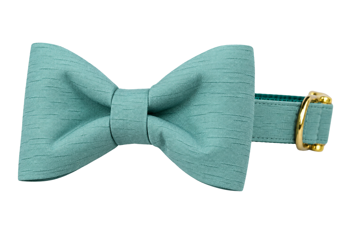 Classic dog collar featuring a Make Waves fabric bow tie, a solid seafoam teal shantung with a subtle slub texture, attached to a matching Make Waves collar with a nylon inner lining and gleaming gold hardware, including a D-ring and buckle.