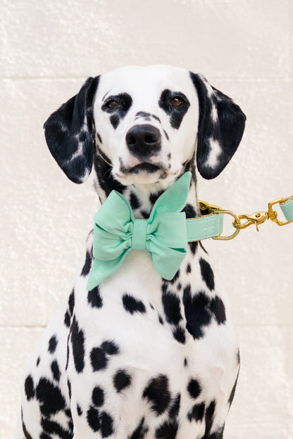 This sleek Dalmatian showcases a mint green belle bow dog collar set and matching leash with luxe clips, perfect for elevating your dog’s everyday look. The soft pastel colorway brings a refined touch to warm-weather dog fashion.
