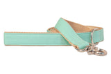 Mint Dog Leash